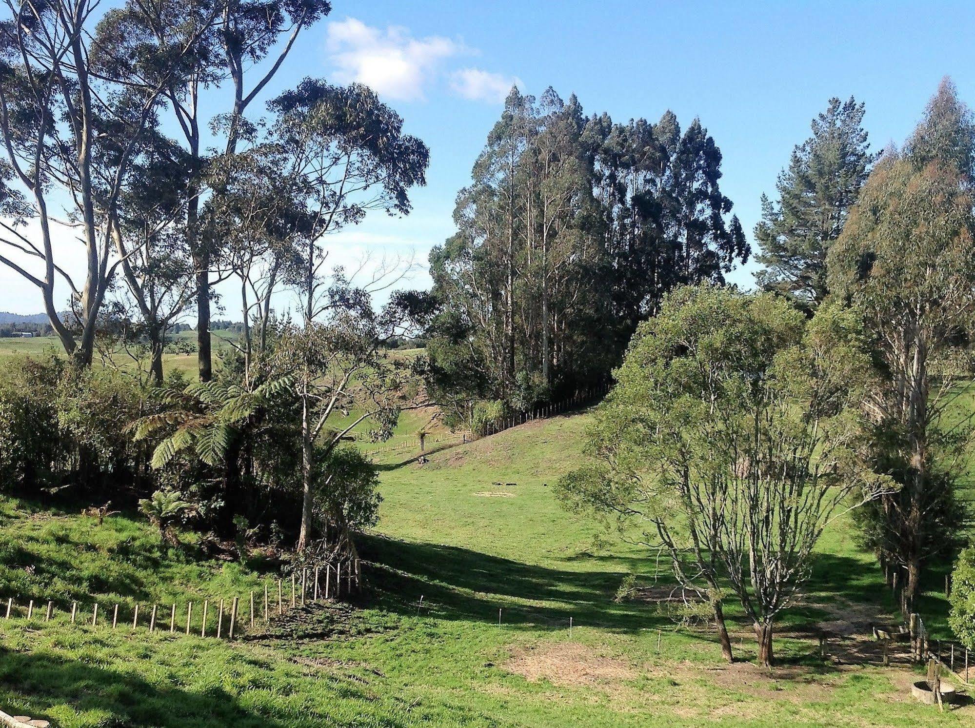 Rolling Hills Country Stay B&B Tauranga Kültér fotó