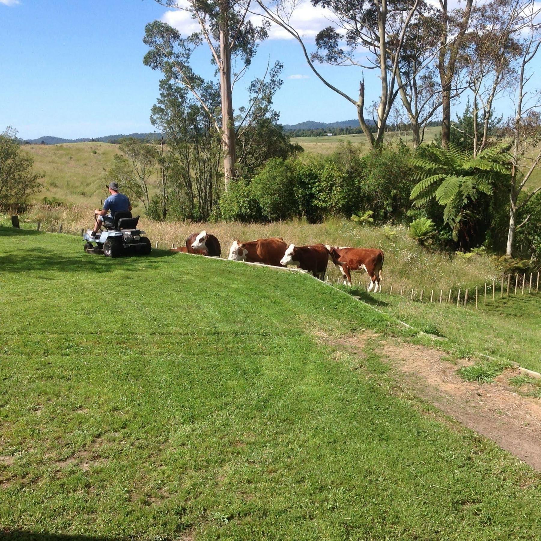 Rolling Hills Country Stay B&B Tauranga Kültér fotó